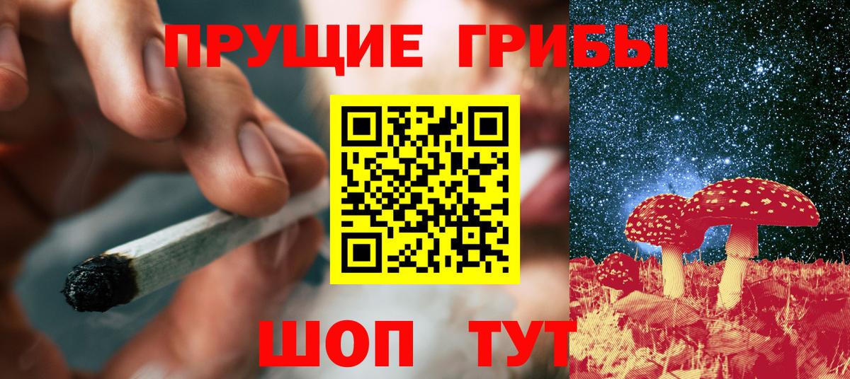Полысаево  Псилоцибиновые грибы мухоморы  Вход с VPN  Псилоцибиновые грибы прущие грибы 